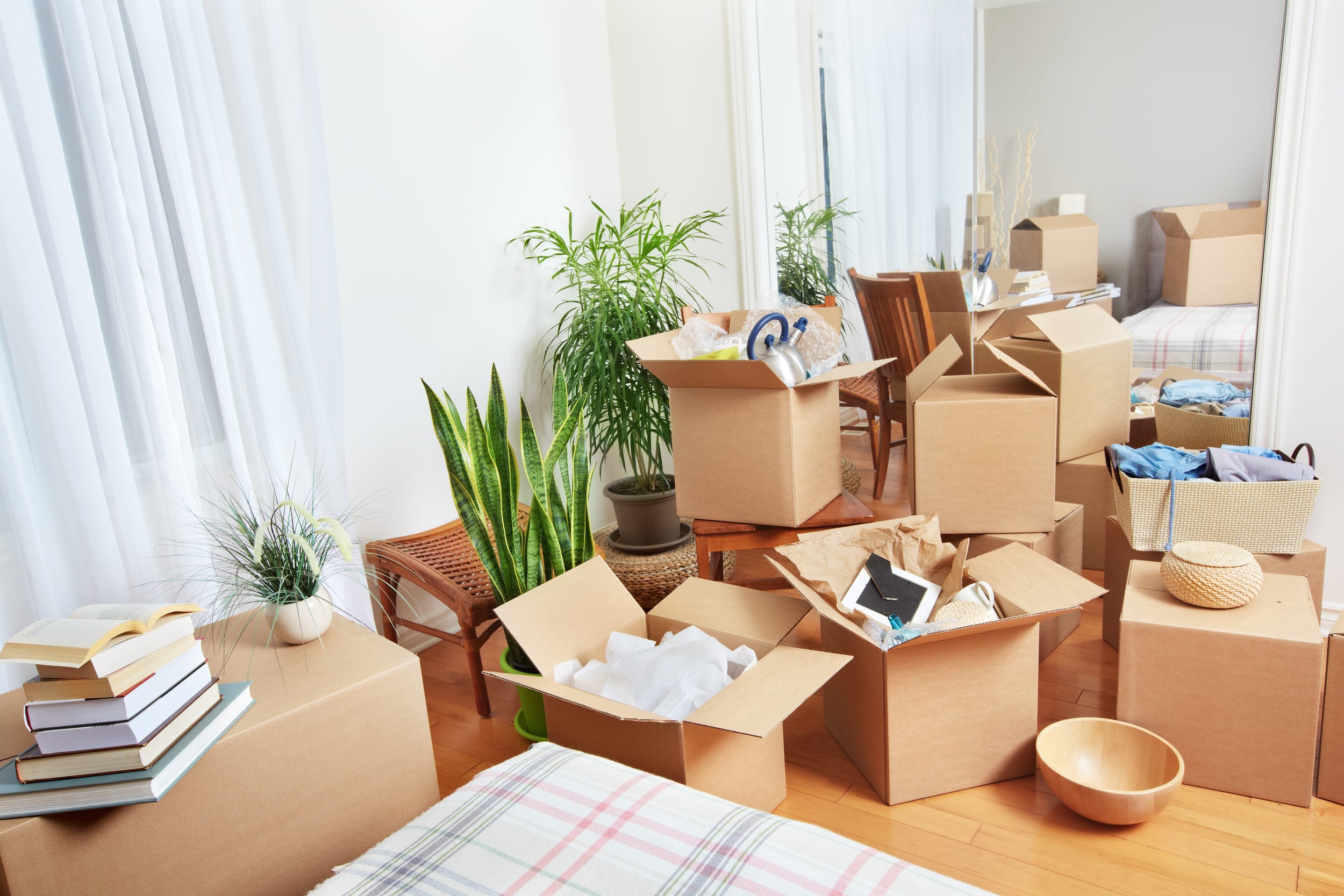 Pick the Removal Company You Can Rely On