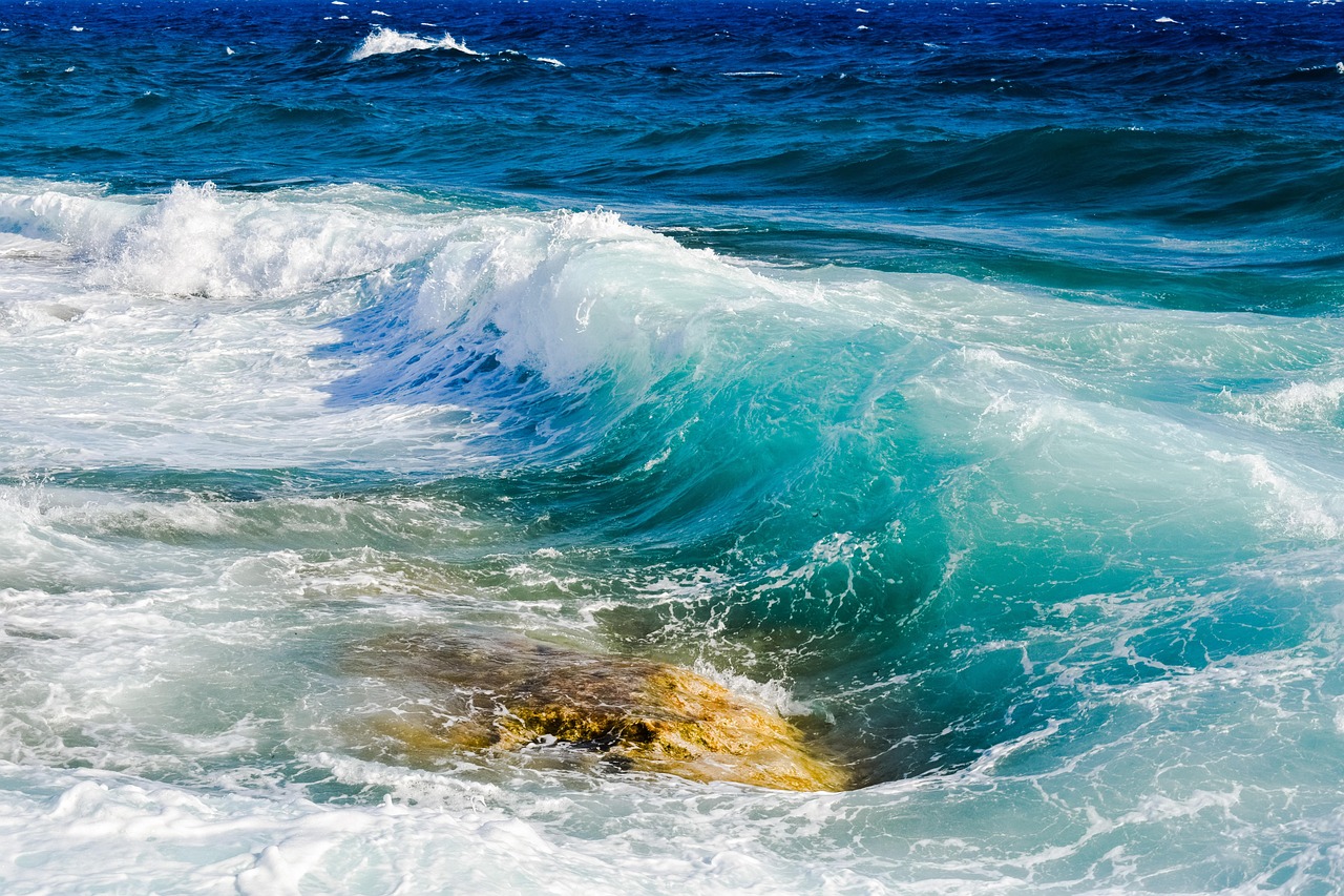 Experience the Convenience of the Ledger Live App