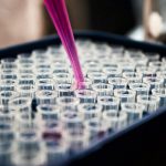 Close-up of a pipette dispensing liquid into small test tubes in a laboratory setting.